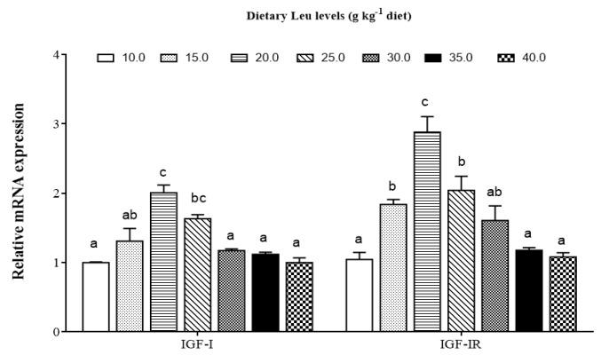 https://cdn.ncbi.nlm.nih.gov/pmc/blobs/e7c7/7072317/6aa0effd6a59/cells-09-00327-g004.jpg