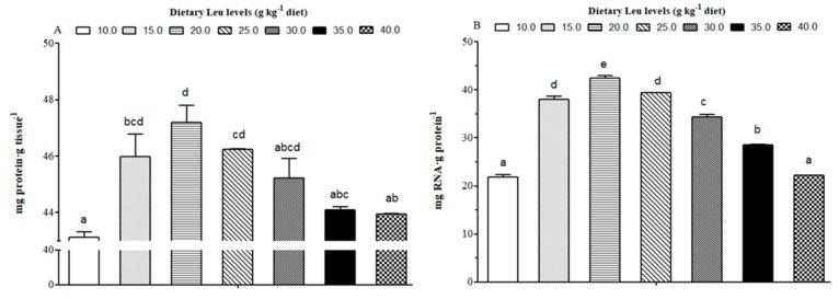 https://cdn.ncbi.nlm.nih.gov/pmc/blobs/e7c7/7072317/fddca3f0b82a/cells-09-00327-g003.jpg