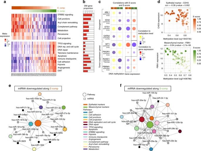 https://cdn.ncbi.nlm.nih.gov/pmc/blobs/e7c8/6430832/2182363eeed1/41467_2019_9307_Fig2_HTML.jpg