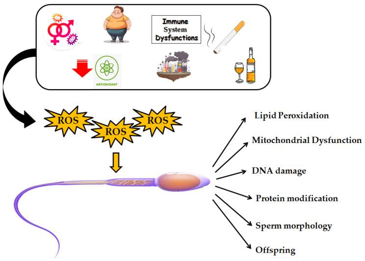 https://cdn.ncbi.nlm.nih.gov/pmc/blobs/e7ca/12024800/5dc22e73844b/biomolecules-15-00478-g002.jpg