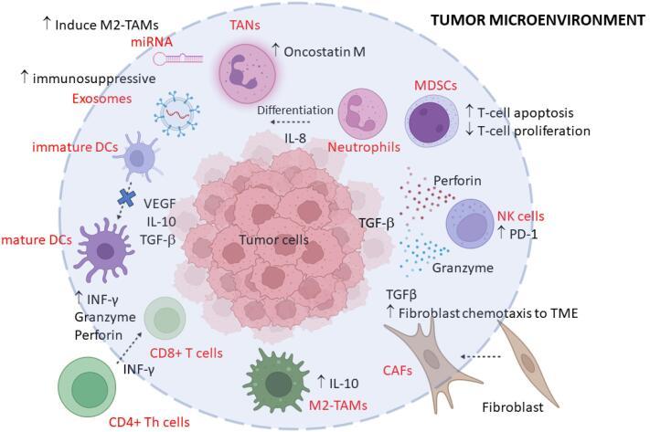 https://cdn.ncbi.nlm.nih.gov/pmc/blobs/e7cc/12008505/e5e13a31968e/bi-15-30713-g001.jpg