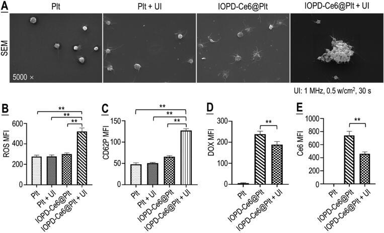 https://cdn.ncbi.nlm.nih.gov/pmc/blobs/e7cf/10240984/73850a9fdd72/IDRD_A_2219429_F0003_B.jpg