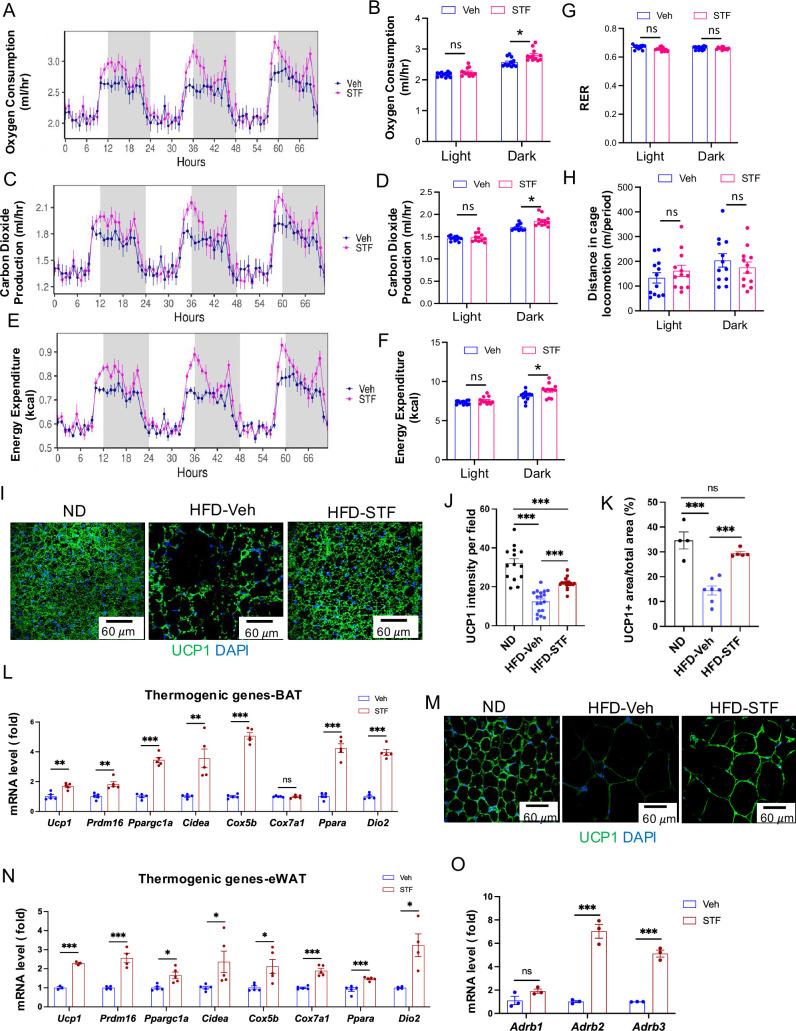 https://cdn.ncbi.nlm.nih.gov/pmc/blobs/e7cf/12005715/175a53dfa045/elife-100581-fig4.jpg