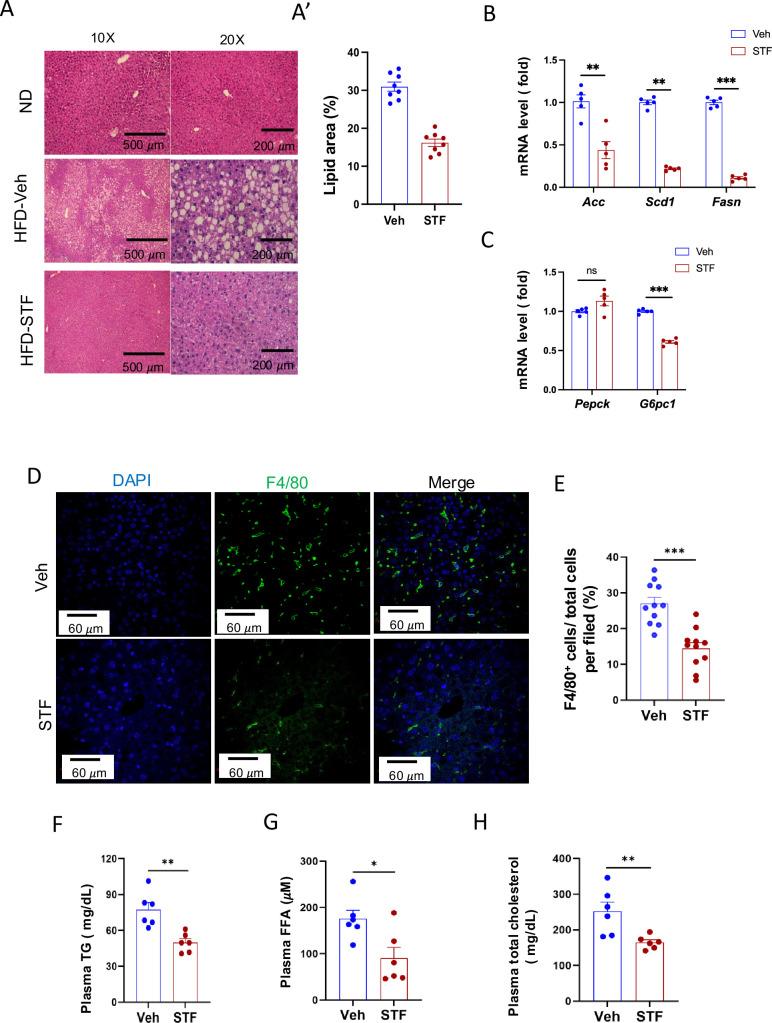 https://cdn.ncbi.nlm.nih.gov/pmc/blobs/e7cf/12005715/7f9d8b787102/elife-100581-fig3.jpg