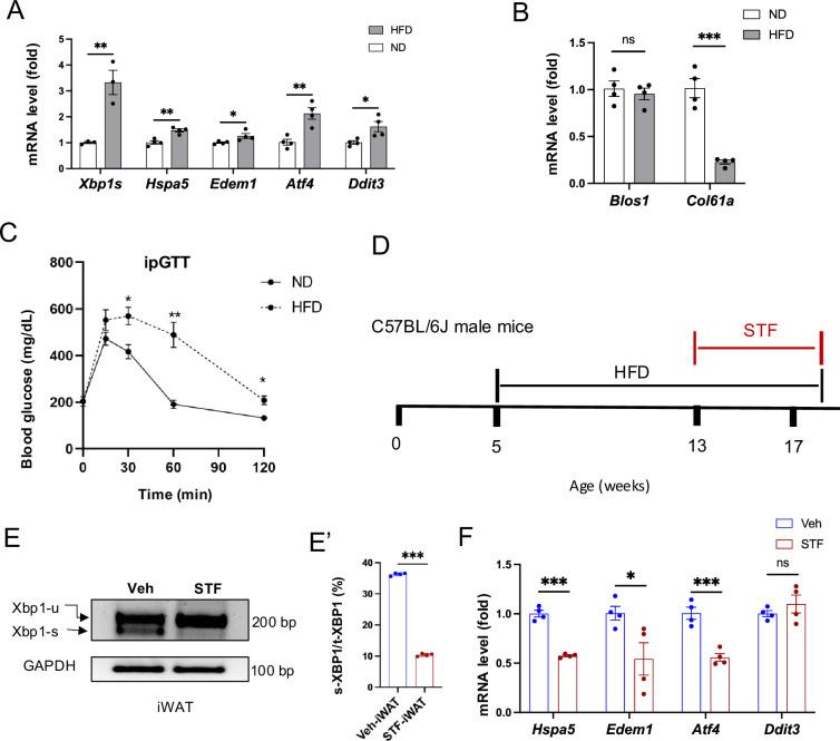 https://cdn.ncbi.nlm.nih.gov/pmc/blobs/e7cf/12005715/904f38dcc1c5/elife-100581-fig1-figsupp1.jpg