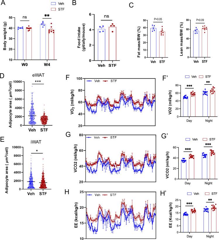https://cdn.ncbi.nlm.nih.gov/pmc/blobs/e7cf/12005715/af5df301dec9/elife-100581-fig4-figsupp1.jpg