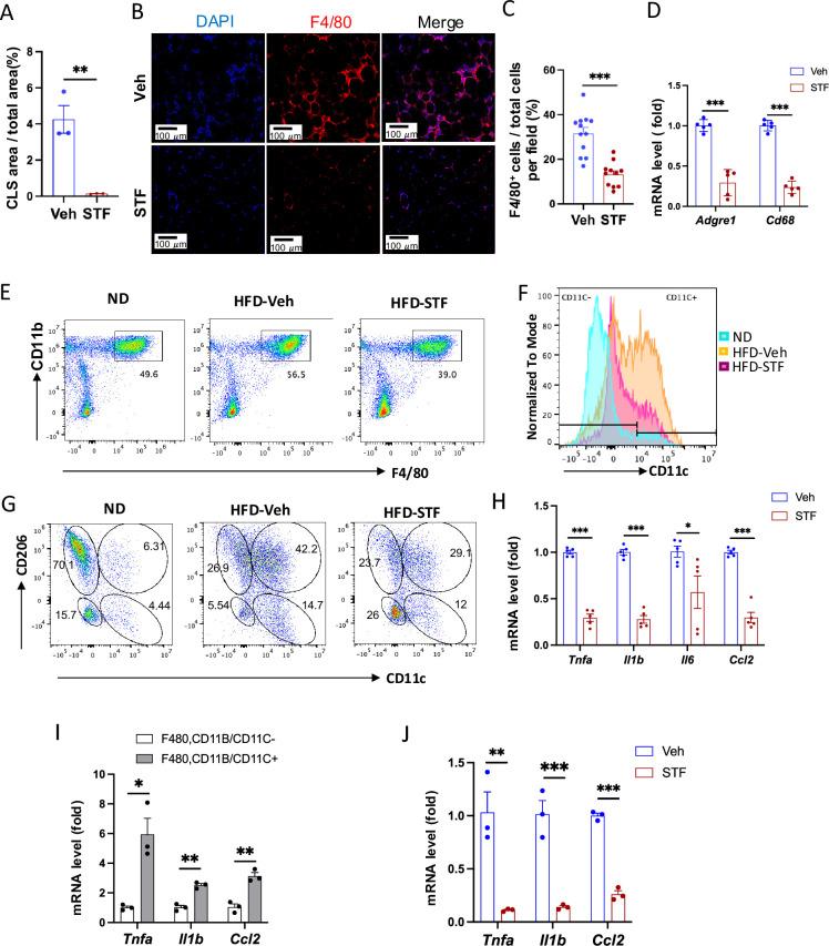 https://cdn.ncbi.nlm.nih.gov/pmc/blobs/e7cf/12005715/c8f2f7f94fdb/elife-100581-fig5.jpg