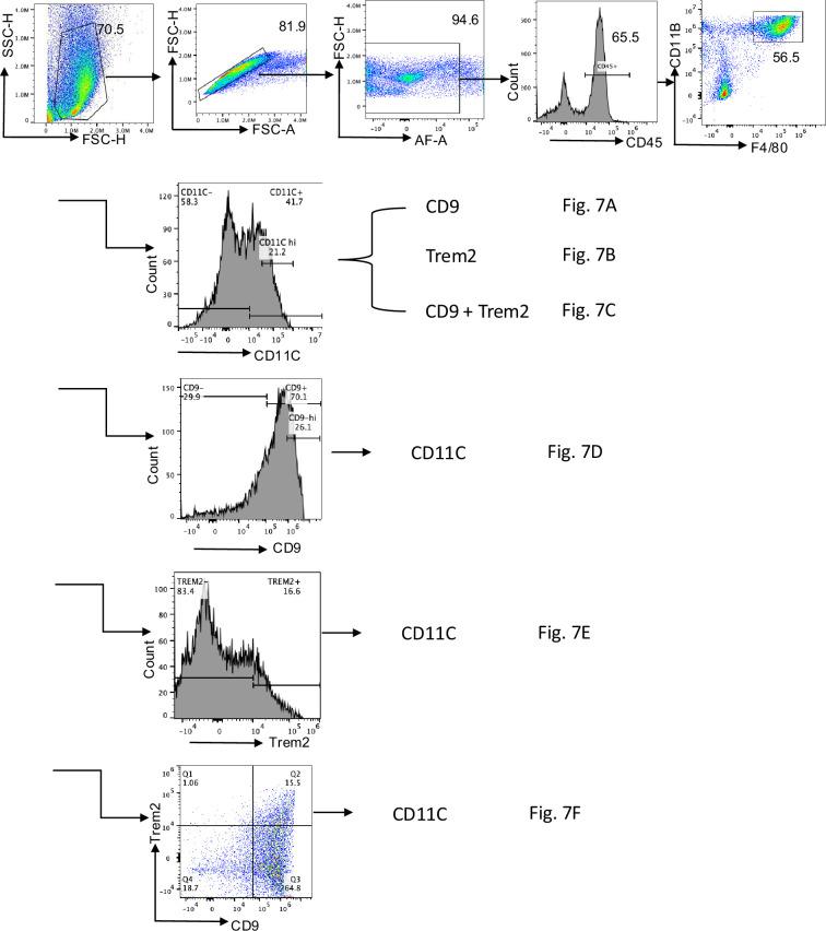 https://cdn.ncbi.nlm.nih.gov/pmc/blobs/e7cf/12005715/fe24b3c2bbb3/elife-100581-fig7-figsupp2.jpg