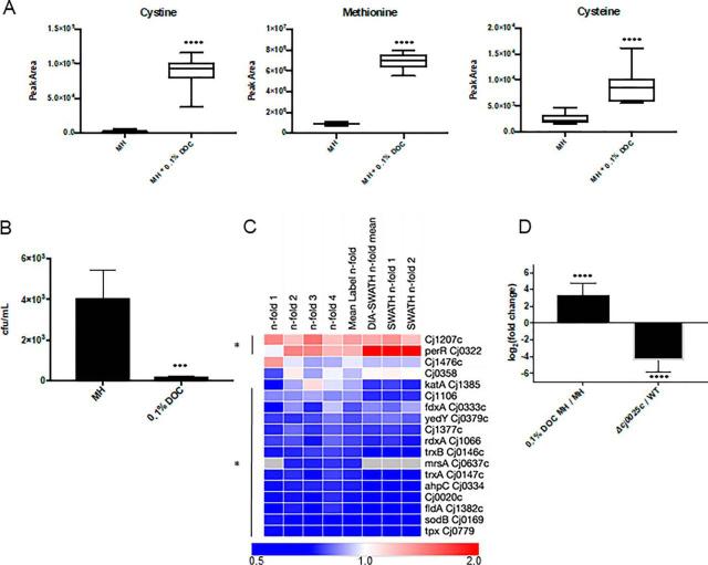 https://cdn.ncbi.nlm.nih.gov/pmc/blobs/e7d2/8015009/9f60c45af345/gr4.jpg