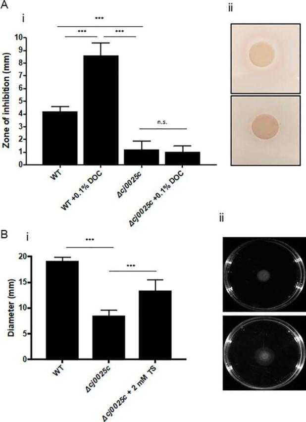 https://cdn.ncbi.nlm.nih.gov/pmc/blobs/e7d2/8015009/c8d31d35a78c/gr8.jpg