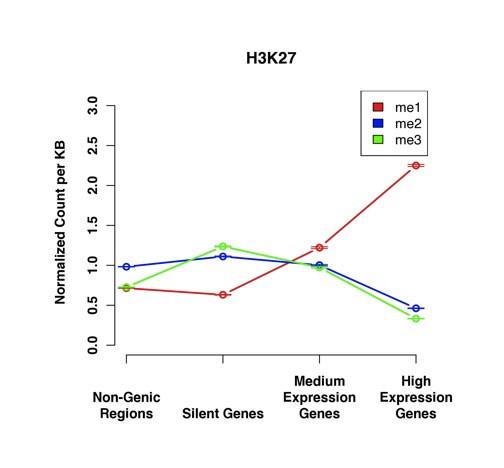 https://cdn.ncbi.nlm.nih.gov/pmc/blobs/e7d4/2667539/11f3449d1309/1471-2164-10-143-4.jpg