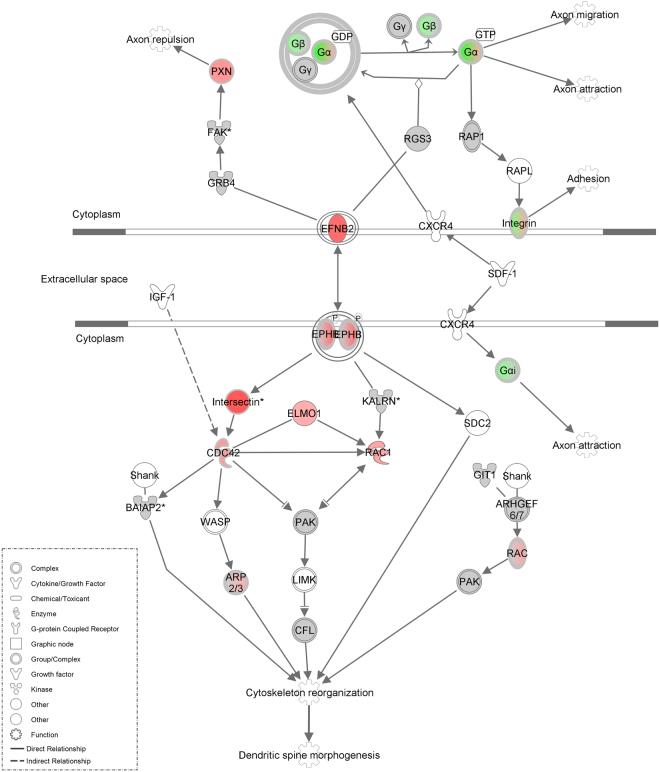 https://cdn.ncbi.nlm.nih.gov/pmc/blobs/e7d4/5634411/8e33a766988f/41598_2017_12779_Fig6_HTML.jpg