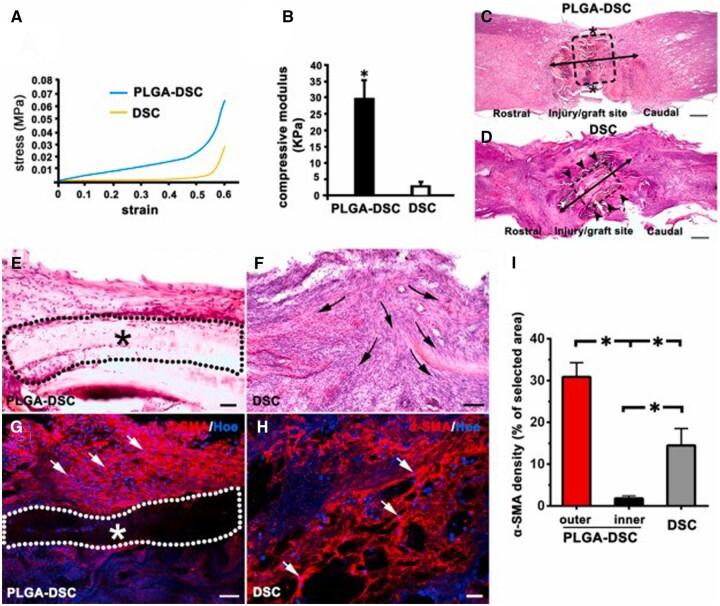 https://cdn.ncbi.nlm.nih.gov/pmc/blobs/e7d5/10761212/57cf3ec832a7/rbad107f3.jpg