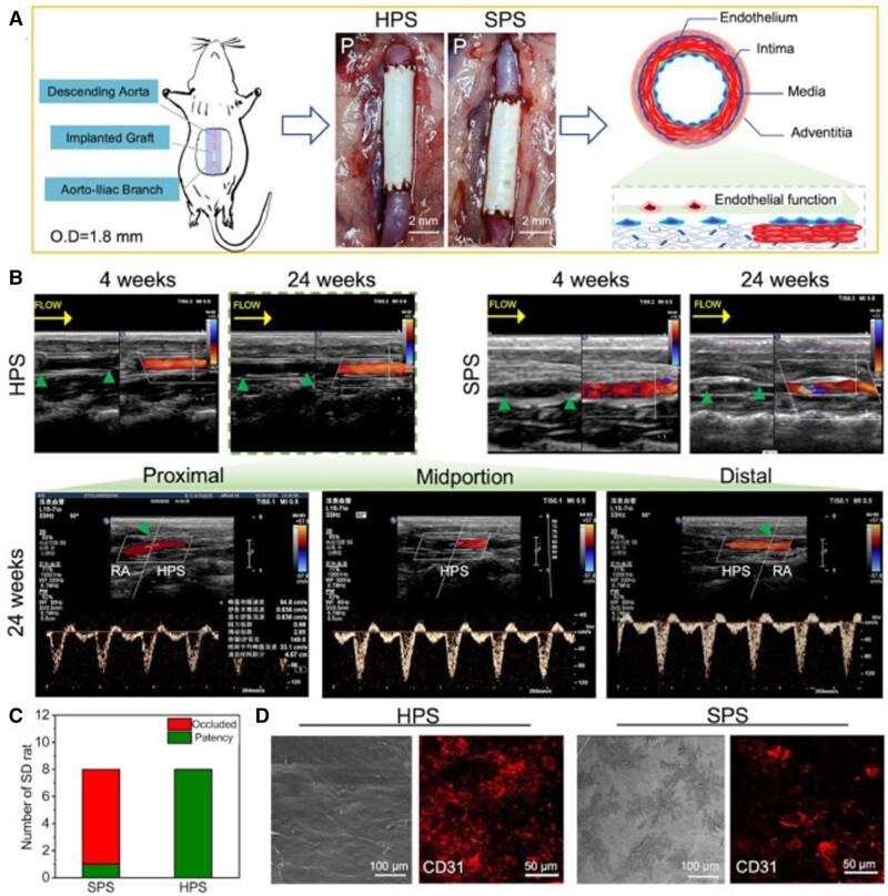 https://cdn.ncbi.nlm.nih.gov/pmc/blobs/e7d5/10761212/783edf0c1a86/rbad107f7.jpg