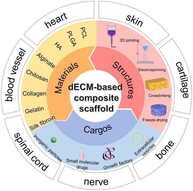 https://cdn.ncbi.nlm.nih.gov/pmc/blobs/e7d5/10761212/c8c10cdb5390/rbad107f1.jpg