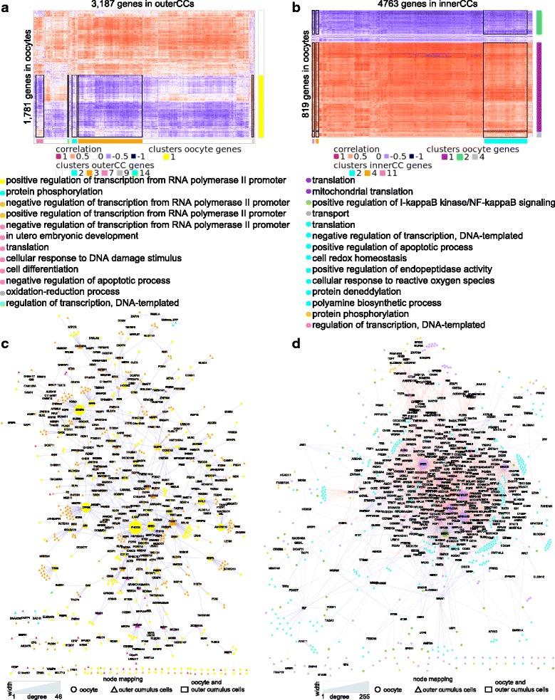https://cdn.ncbi.nlm.nih.gov/pmc/blobs/e7d6/5946446/27ba086eef3c/12864_2018_4738_Fig4_HTML.jpg