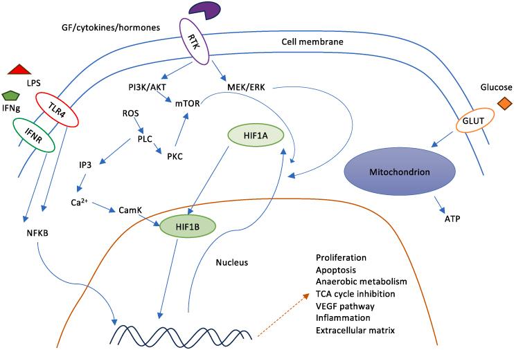 https://cdn.ncbi.nlm.nih.gov/pmc/blobs/e7d7/11497982/b03c423f629a/IFSO_A_2409609_F0001_C.jpg