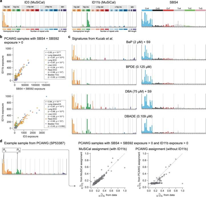https://cdn.ncbi.nlm.nih.gov/pmc/blobs/e7d9/10937379/b8c590013557/41588_2024_1659_Fig16_ESM.jpg