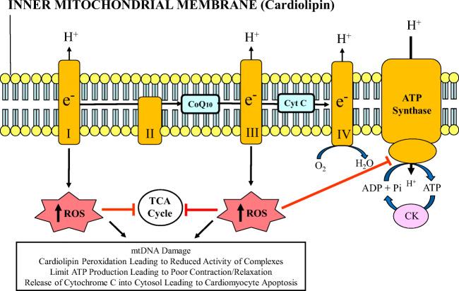 https://cdn.ncbi.nlm.nih.gov/pmc/blobs/e7da/7895793/1ccbd9837971/10741_2020_10031_Fig1_HTML.jpg
