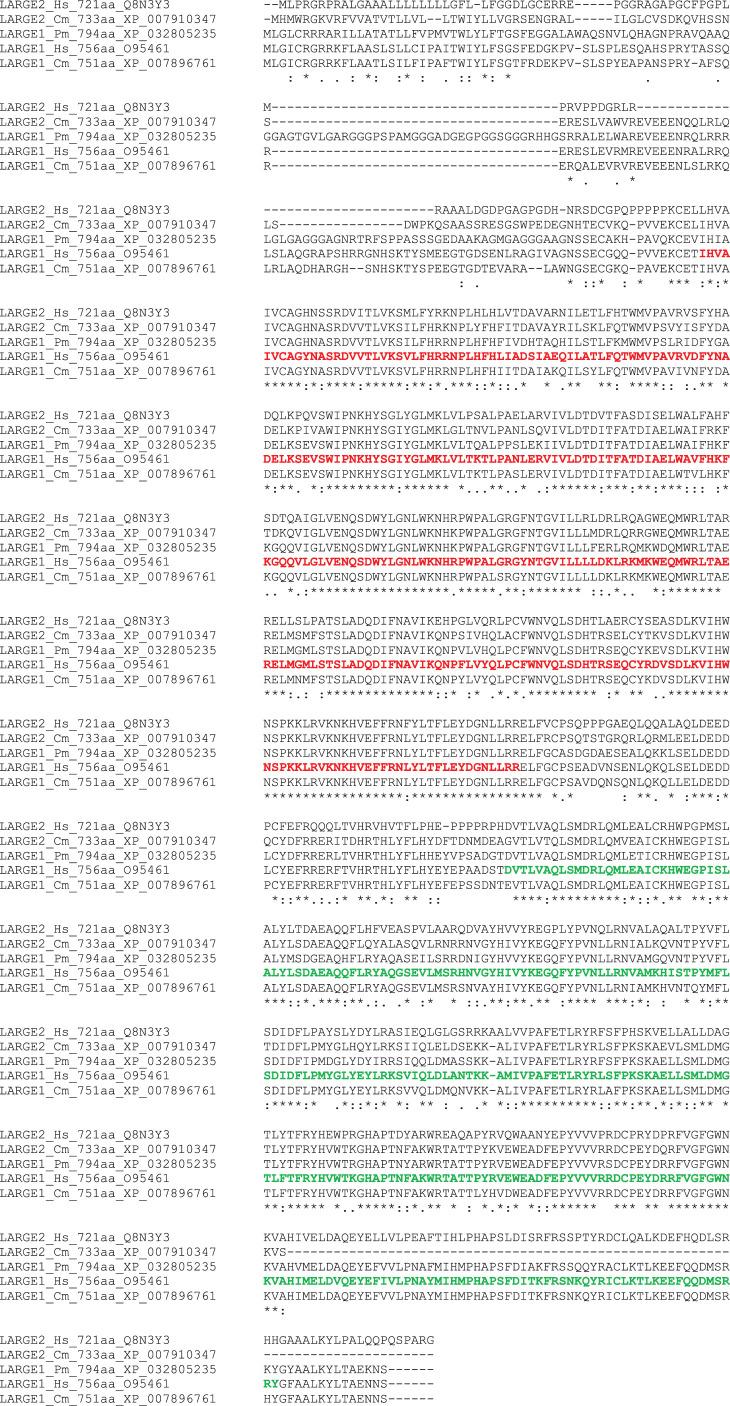 https://cdn.ncbi.nlm.nih.gov/pmc/blobs/e7db/8478517/b45cf080dcfe/rsob210104f03.jpg