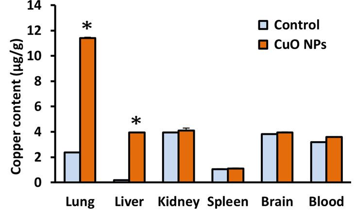 https://cdn.ncbi.nlm.nih.gov/pmc/blobs/e7db/9082266/125436f412e0/fimmu-13-874253-g003.jpg