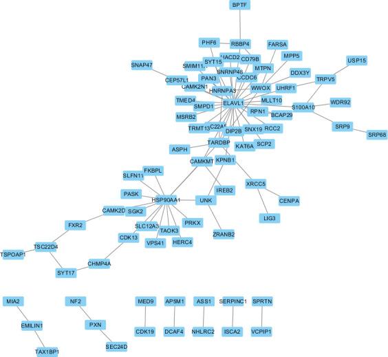 https://cdn.ncbi.nlm.nih.gov/pmc/blobs/e7db/9373049/24578b6df928/fonc-12-967386-g005.jpg