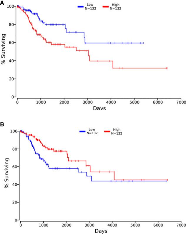 https://cdn.ncbi.nlm.nih.gov/pmc/blobs/e7db/9373049/617fae8295f0/fonc-12-967386-g007.jpg