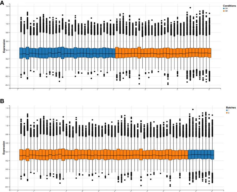 https://cdn.ncbi.nlm.nih.gov/pmc/blobs/e7db/9373049/9aadb4808333/fonc-12-967386-g002.jpg