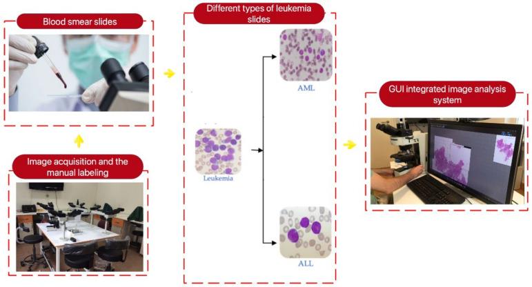 https://cdn.ncbi.nlm.nih.gov/pmc/blobs/e7dc/11273433/b5aa64d128d3/bioengineering-11-00644-g003.jpg