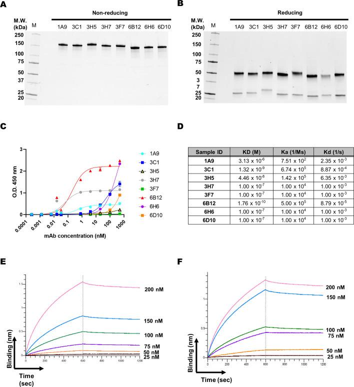 https://cdn.ncbi.nlm.nih.gov/pmc/blobs/e7de/11368854/d03ebb802e0c/fcimb-14-1455259-g003.jpg