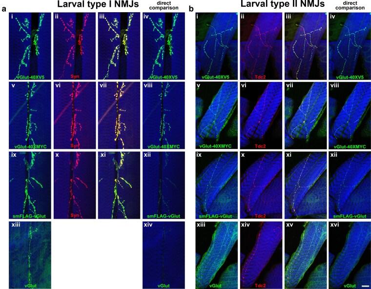 https://cdn.ncbi.nlm.nih.gov/pmc/blobs/e7de/12134993/2e447bc9ab3c/jkaf070f4.jpg