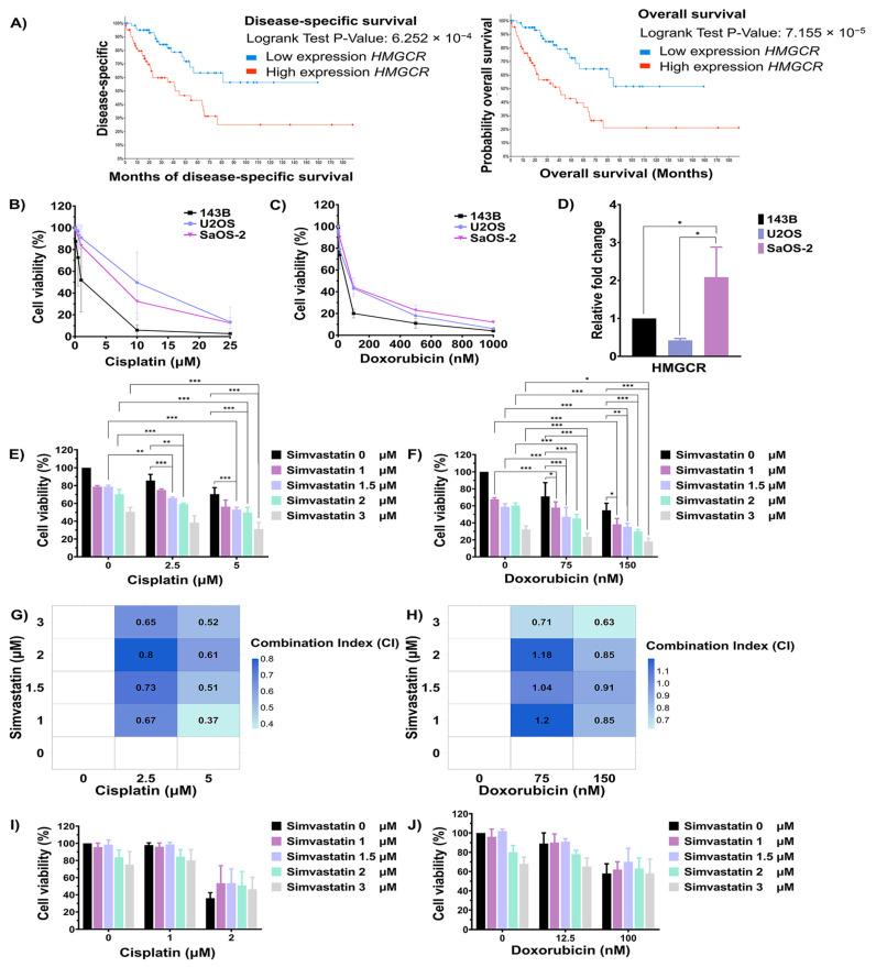 https://cdn.ncbi.nlm.nih.gov/pmc/blobs/e7e1/12249065/6a88d19c32a7/cells-14-00993-g003.jpg