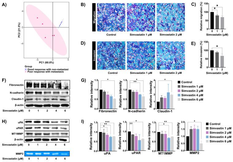 https://cdn.ncbi.nlm.nih.gov/pmc/blobs/e7e1/12249065/73fc9c648177/cells-14-00993-g005.jpg