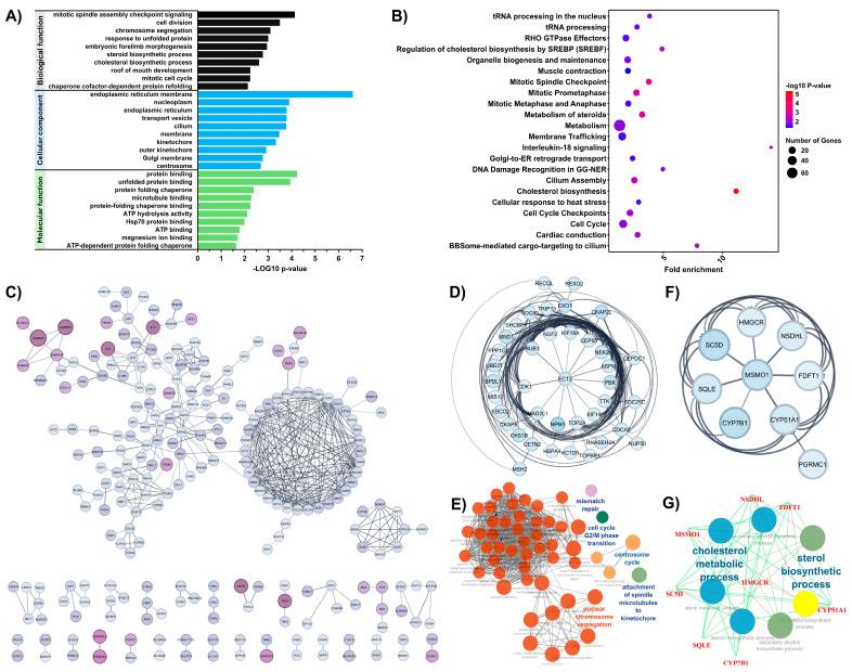 https://cdn.ncbi.nlm.nih.gov/pmc/blobs/e7e1/12249065/9bba9cd7e622/cells-14-00993-g002.jpg