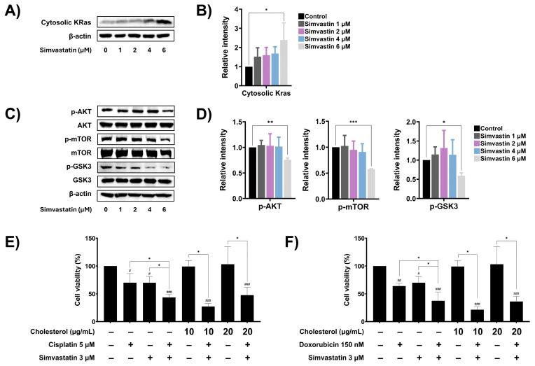 https://cdn.ncbi.nlm.nih.gov/pmc/blobs/e7e1/12249065/ce76ab1bdf90/cells-14-00993-g006.jpg