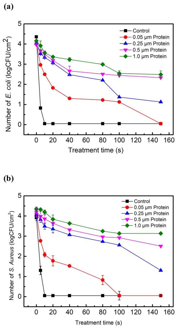 https://cdn.ncbi.nlm.nih.gov/pmc/blobs/e7e1/9100691/5f4d7191d559/ijms-23-04856-g002a.jpg