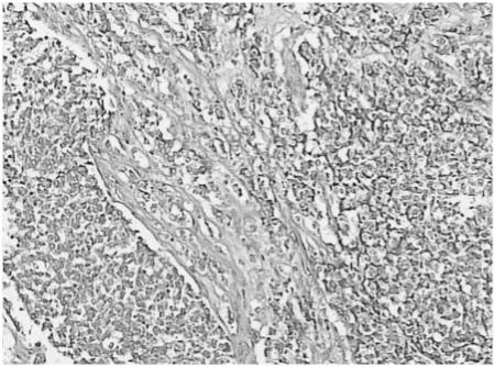 https://cdn.ncbi.nlm.nih.gov/pmc/blobs/e7e2/3266582/bf4d9690b97c/ci11002501.jpg