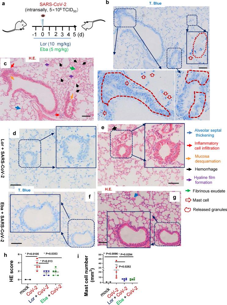 https://cdn.ncbi.nlm.nih.gov/pmc/blobs/e7e3/8683491/2a3f61144cb4/41392_2021_849_Fig7_HTML.jpg