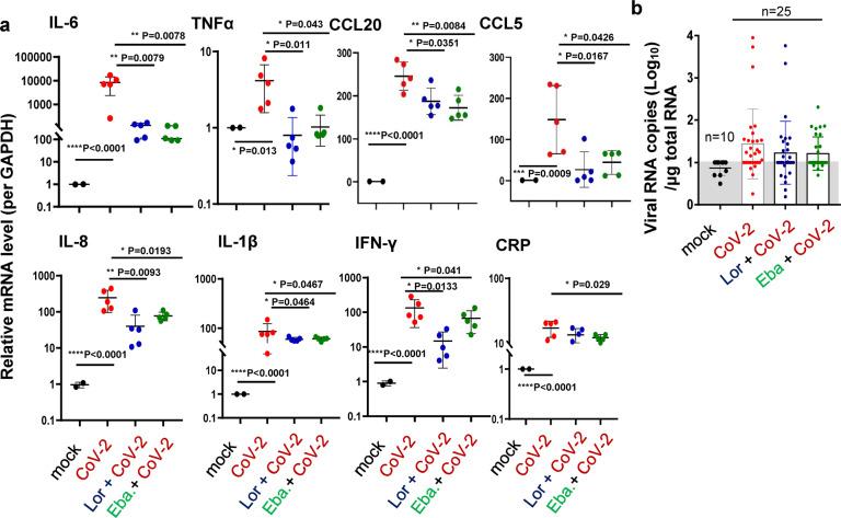 https://cdn.ncbi.nlm.nih.gov/pmc/blobs/e7e3/8683491/a5d63a493f99/41392_2021_849_Fig8_HTML.jpg