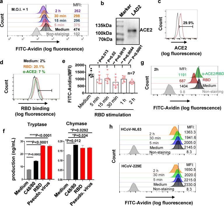 https://cdn.ncbi.nlm.nih.gov/pmc/blobs/e7e3/8683491/b86782245ac5/41392_2021_849_Fig4_HTML.jpg
