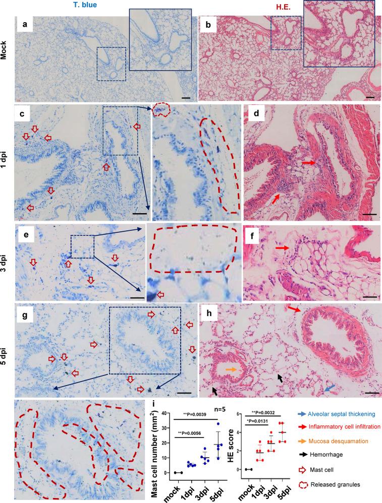 https://cdn.ncbi.nlm.nih.gov/pmc/blobs/e7e3/8683491/baa14a60cec3/41392_2021_849_Fig1_HTML.jpg