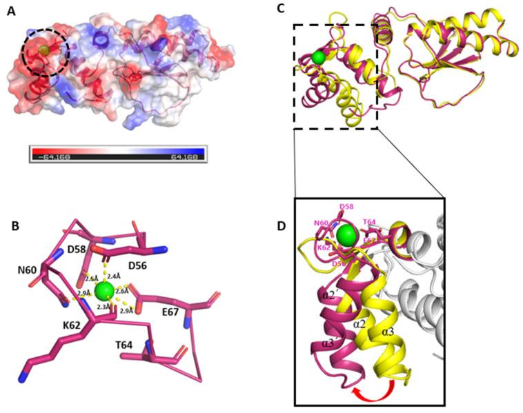 https://cdn.ncbi.nlm.nih.gov/pmc/blobs/e7e4/12347358/2c1278b12a38/ijms-26-07584-g005.jpg