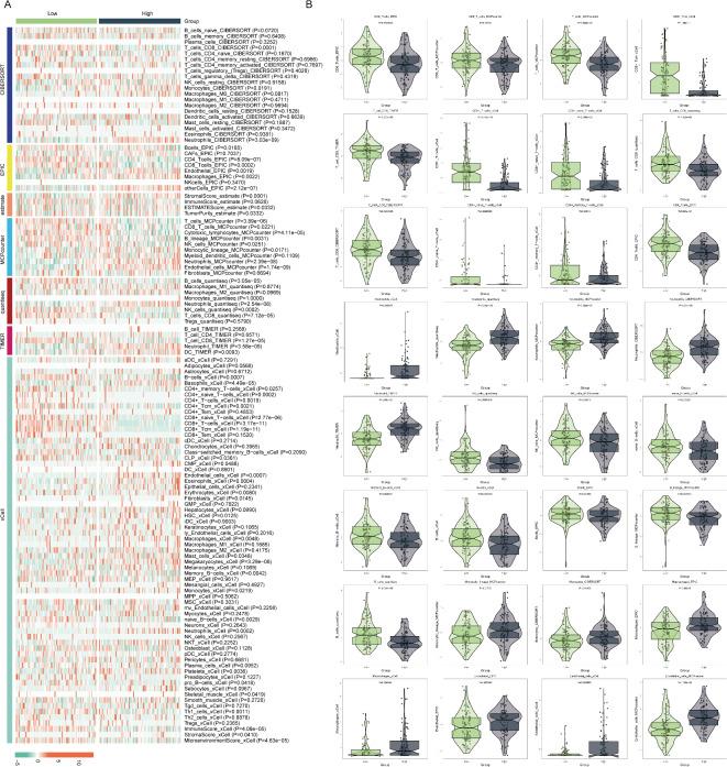 https://cdn.ncbi.nlm.nih.gov/pmc/blobs/e7e5/12009401/6a6adf57ba18/41598_2025_97623_Fig6_HTML.jpg