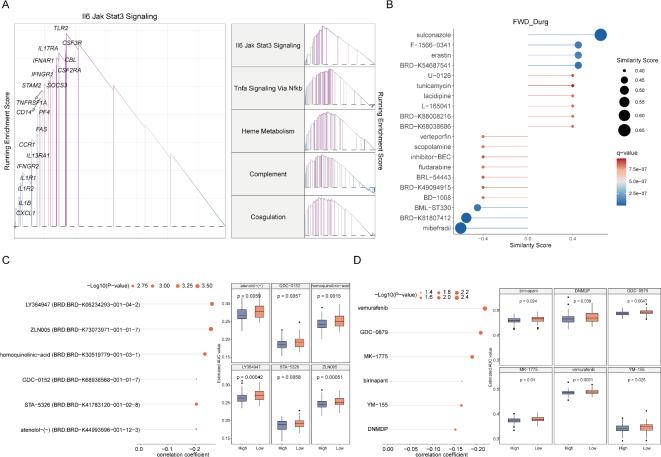 https://cdn.ncbi.nlm.nih.gov/pmc/blobs/e7e5/12009401/9f0fcb223e45/41598_2025_97623_Fig7_HTML.jpg