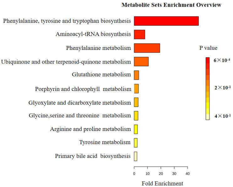 https://cdn.ncbi.nlm.nih.gov/pmc/blobs/e7e6/11767606/359f27162a3d/metabolites-15-00065-g009.jpg