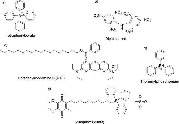 https://cdn.ncbi.nlm.nih.gov/pmc/blobs/e7e6/11841433/099219d849a9/fchem-12-1527946-g005.jpg