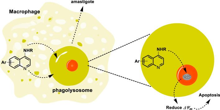 https://cdn.ncbi.nlm.nih.gov/pmc/blobs/e7e6/11841433/99e29010847b/fchem-12-1527946-g007.jpg