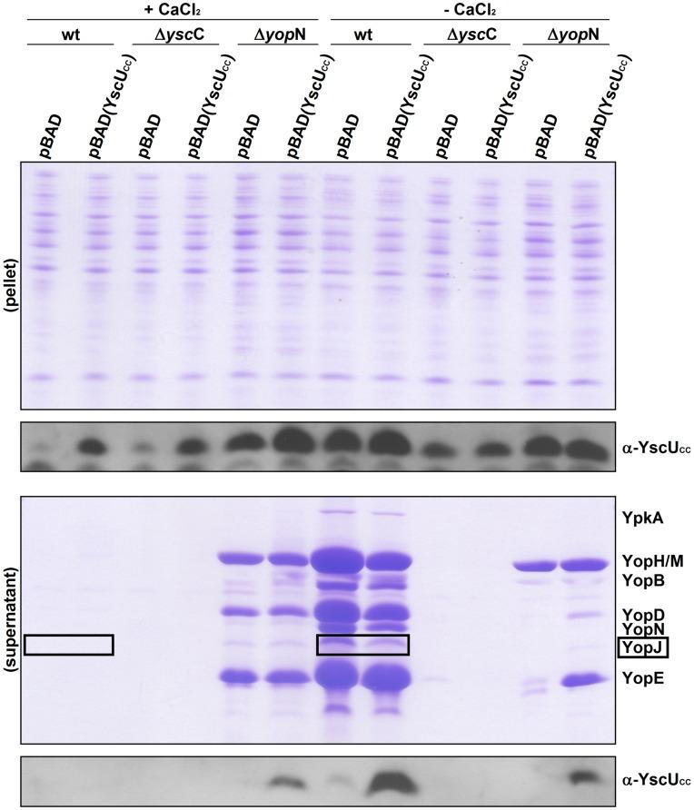 https://cdn.ncbi.nlm.nih.gov/pmc/blobs/e7e6/3504009/3482eda4970d/pone.0049349.g004.jpg