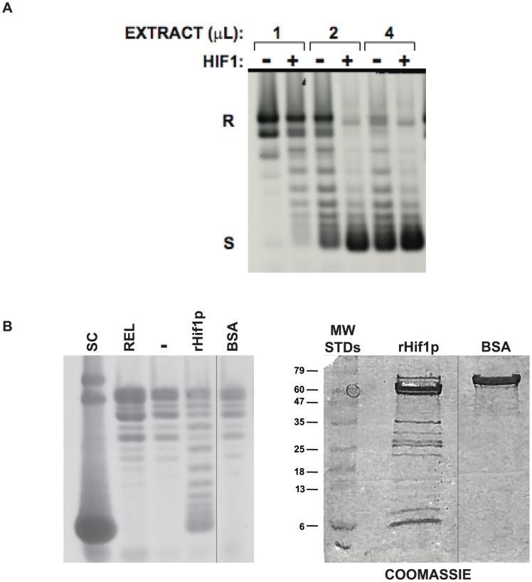 https://cdn.ncbi.nlm.nih.gov/pmc/blobs/e7ea/4114455/1633b59800fb/pone.0100299.g001.jpg