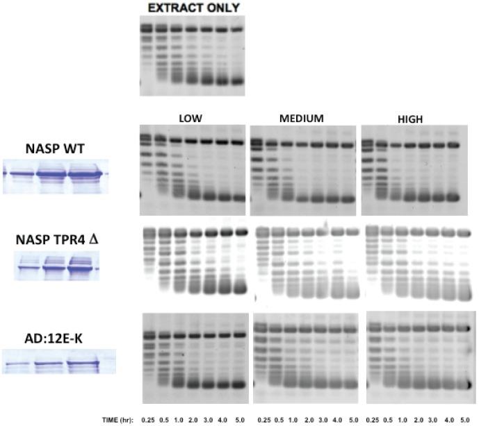 https://cdn.ncbi.nlm.nih.gov/pmc/blobs/e7ea/4114455/4ac4748e0b87/pone.0100299.g007.jpg